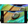 Защитное стекло Aiwo Full Screen Cover 0.33 mm Gold для Sony Xperia XA1(#2)